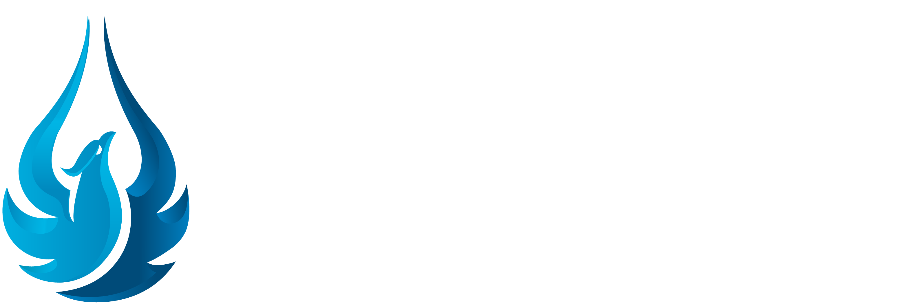 AquaPhoenix Education Logo_Horizontal White Text_RGB
