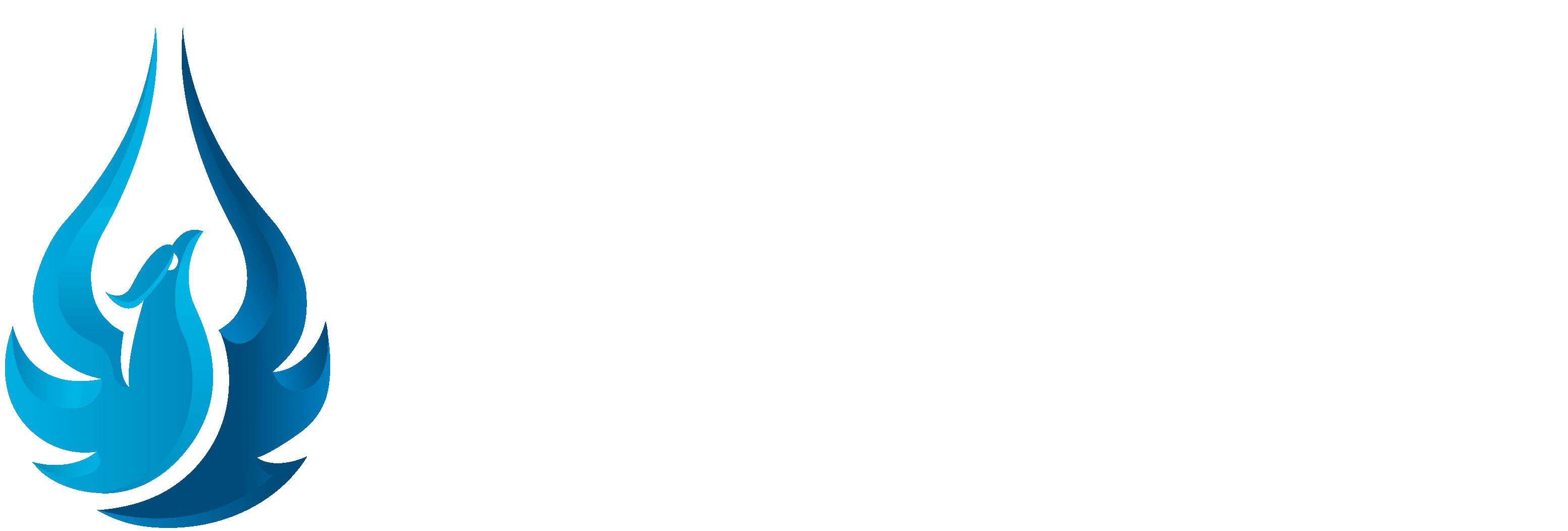 AquaPhoenix Logo_Horizontal White Text_RGB